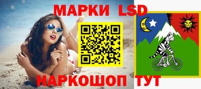 МДПВ Донецк